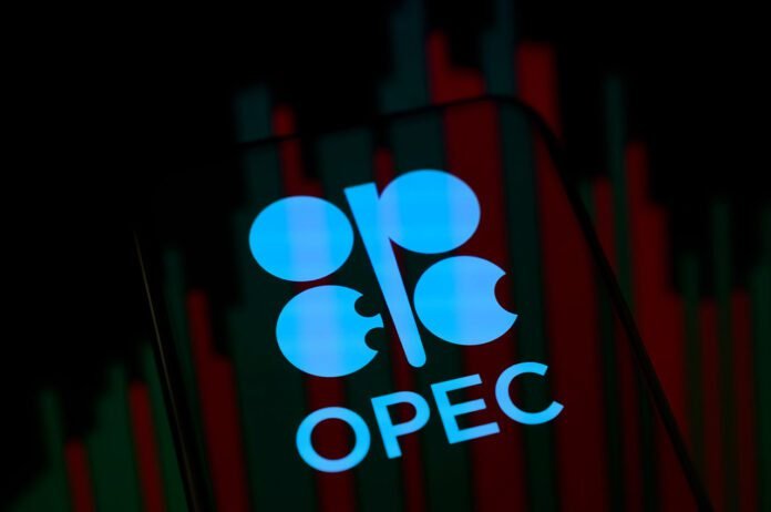 WBB Emdad chief UAEs decision to exit OPEC will create more job opportunities and industries in the UAE