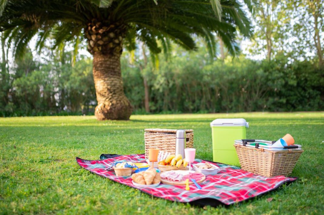 WBB Top 10 Picnic Places in Dubai for a Perfect Outdoor Escape This Season