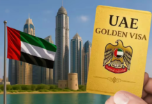 WBB How to Apply for the UAE Golden Visa Complete Requirements (1)