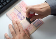 WBB How to Check Your UAE Visa Status Online with Passport Number