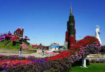 WBB Top 15 Free Places to Visit in Dubai with Family
