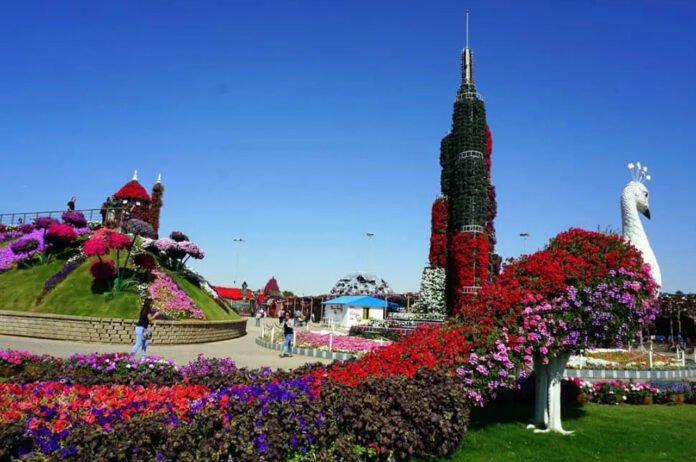 WBB Top 15 Free Places to Visit in Dubai with Family